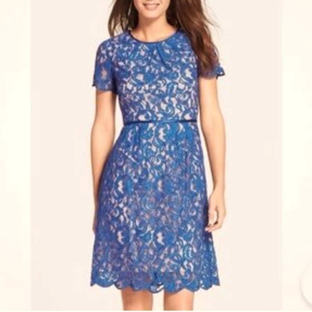 Coldwater Creek Blue Lace Dress